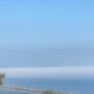 Meet your Posher, Davina